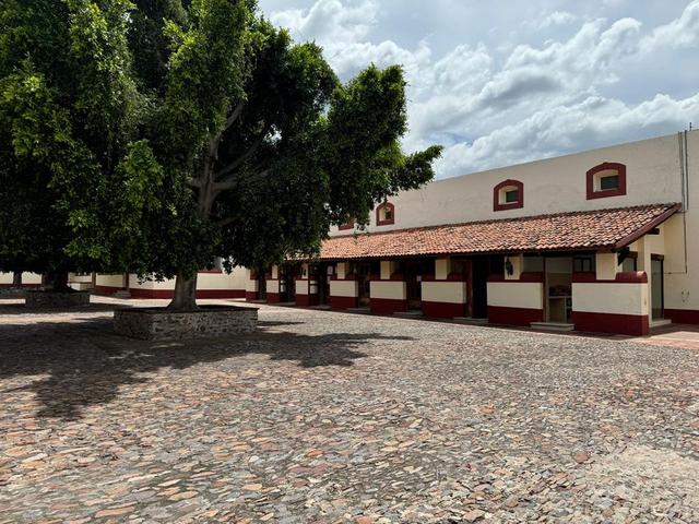 Foto de la galeria de imagenes
